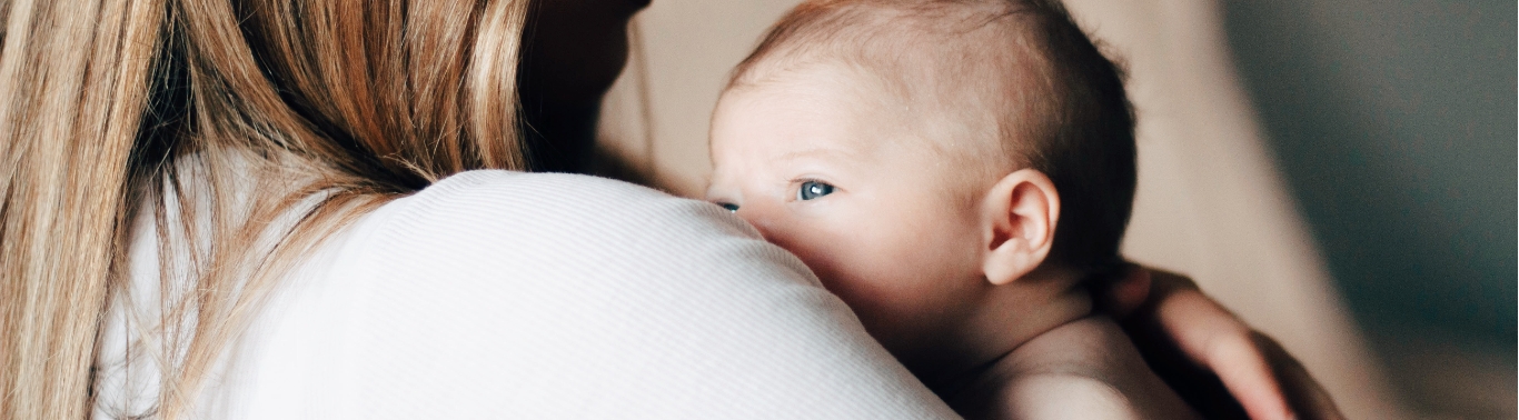 Pregnancy & Fertility Scans