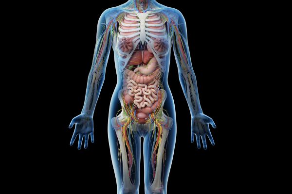 abdominal ultrasound women