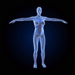 Full body plus Ultrasound Scan (Women)