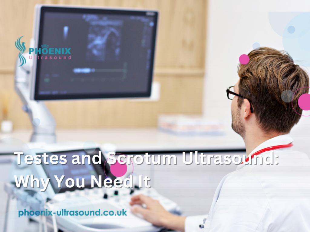 Testes and Scrotum Ultrasound: Why You Need It