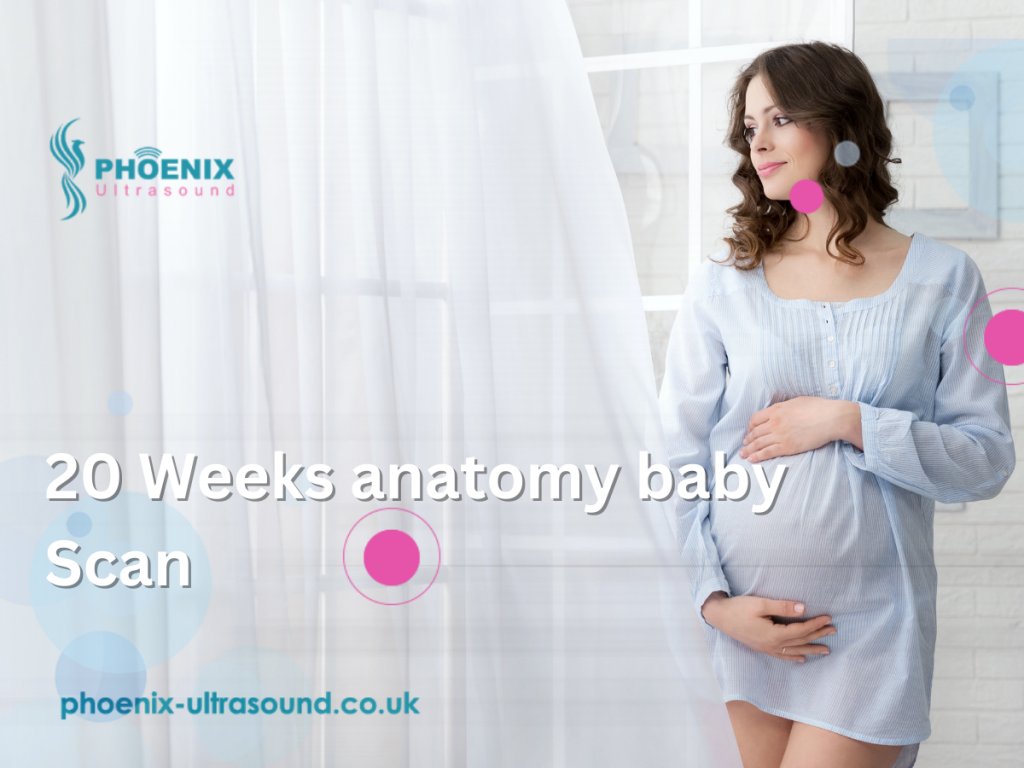 20 Weeks anatomy baby Scan