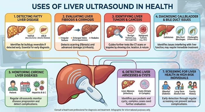 Liver Ultrasound Uses in Health 6 Uses of Liver Ultrasound in Health