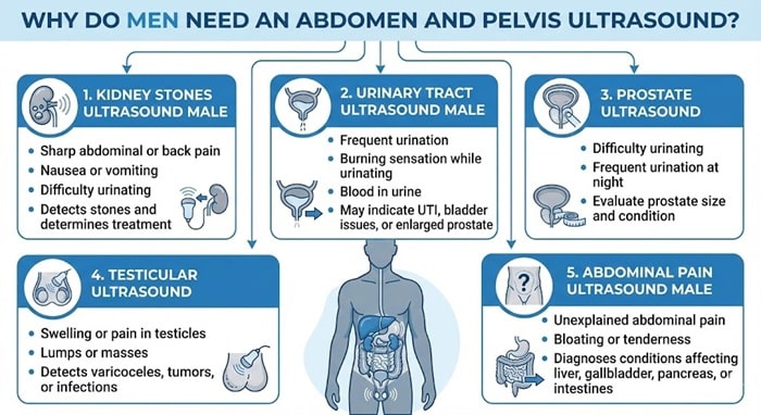 usg abdomen and pelvis test for male: What to Expect During the Test 1 Why Do Men Need an Abdomen and Pelvis Ultrasound