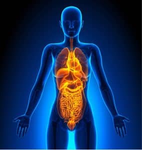 full body ultrasound fibroscan