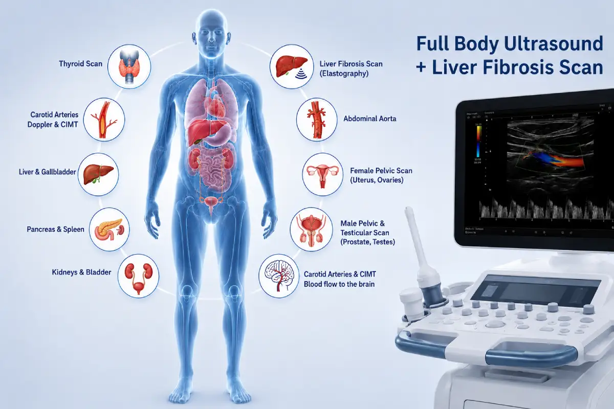 Private Full Body Ultrasound+Liver Fibrosis Scan (Elastography) 1 Private Full Body Ultrasound+Liver Fibrosis Scan (Elastography)